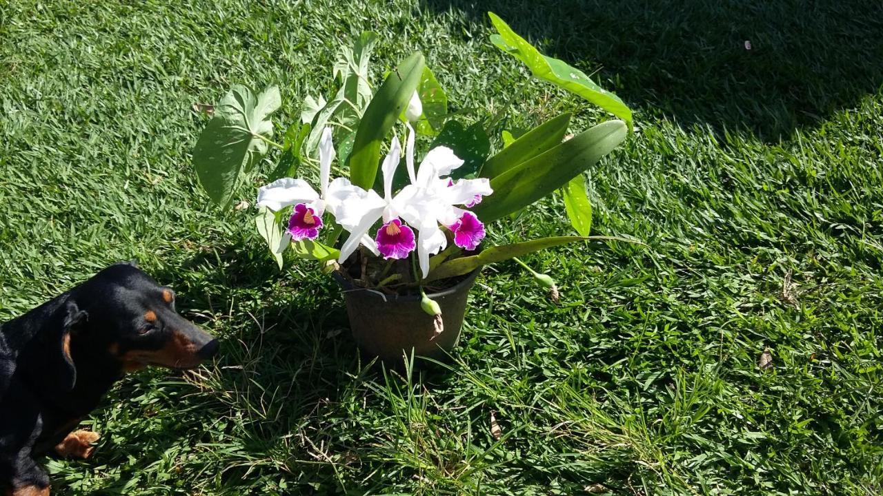 Sol E Cia Casa De Temporada Villa Caraguatatuba Bagian luar foto